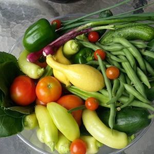 Meet your Posher, Joyce